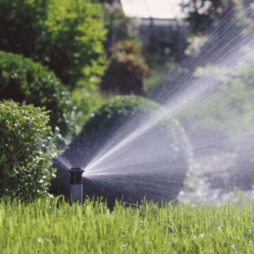 irigatii gazon