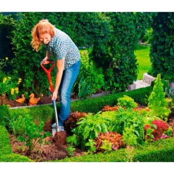 Luna martie in gradina - Cazma pentru sapat ASP-E Wolf-Garten