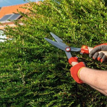 Foarfeca gard viu Wolf-Garten HS-BW