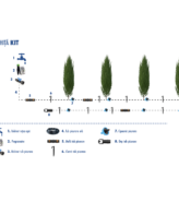 Kit irigare prin picurare cu programare pentru 10 plante ornamentale